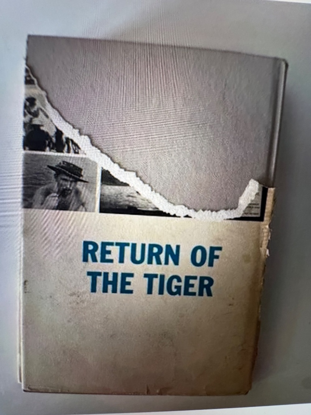 Return Of The Tiger - Picture 6 of 8